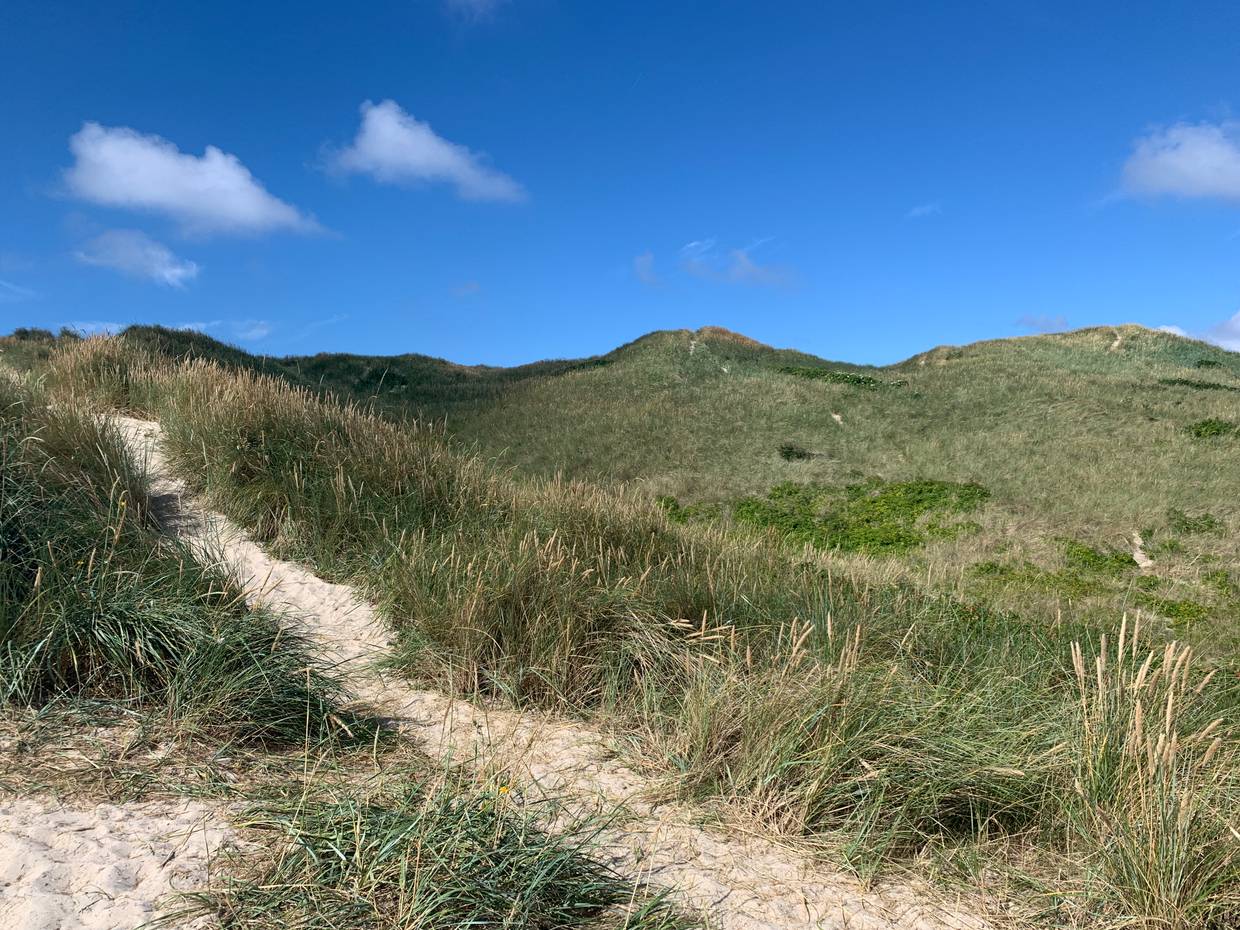 Fast unbebaute Dünenlandschaft mit Heide und Strandhafer