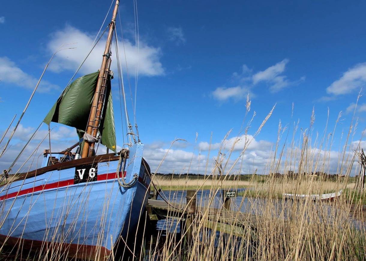 Blaues Fischerboot im Schilf