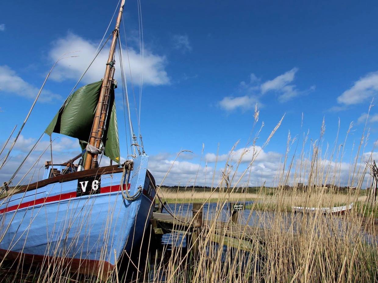 Blaues Fischerboot im Schilf
