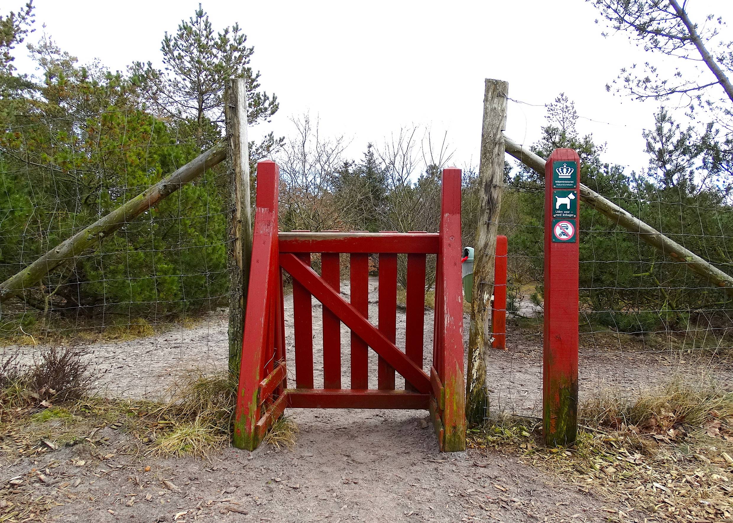 Rote Holzpforte an einem Hundewald in Westjütland