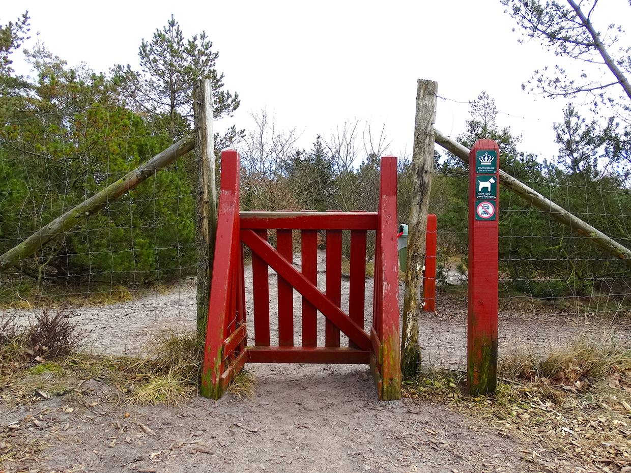 Rotes Holztor mit Hinweis auf einen Hundewald