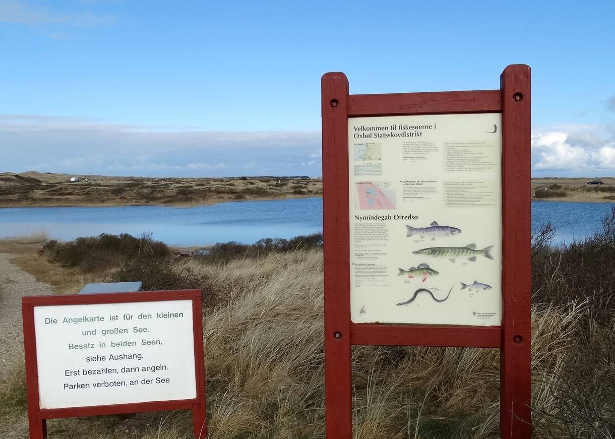 Hinweisschild zu Angelmöglichkeiten am Fjord