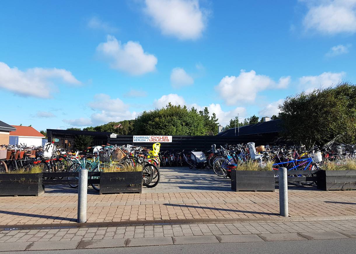 Fahrradvermietung an der Straße 