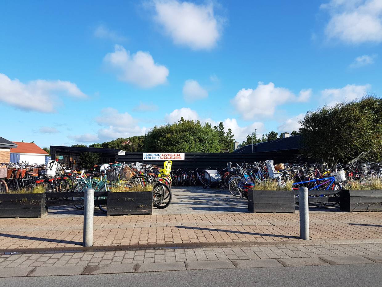 Fahrradvermietung an der Straße 