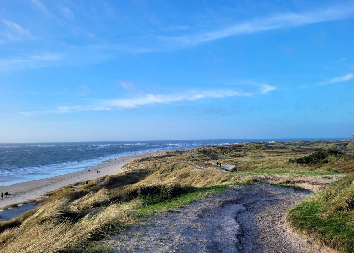 Aussicht über Dünenl und Strand an einer Landspitze an der Nordsee