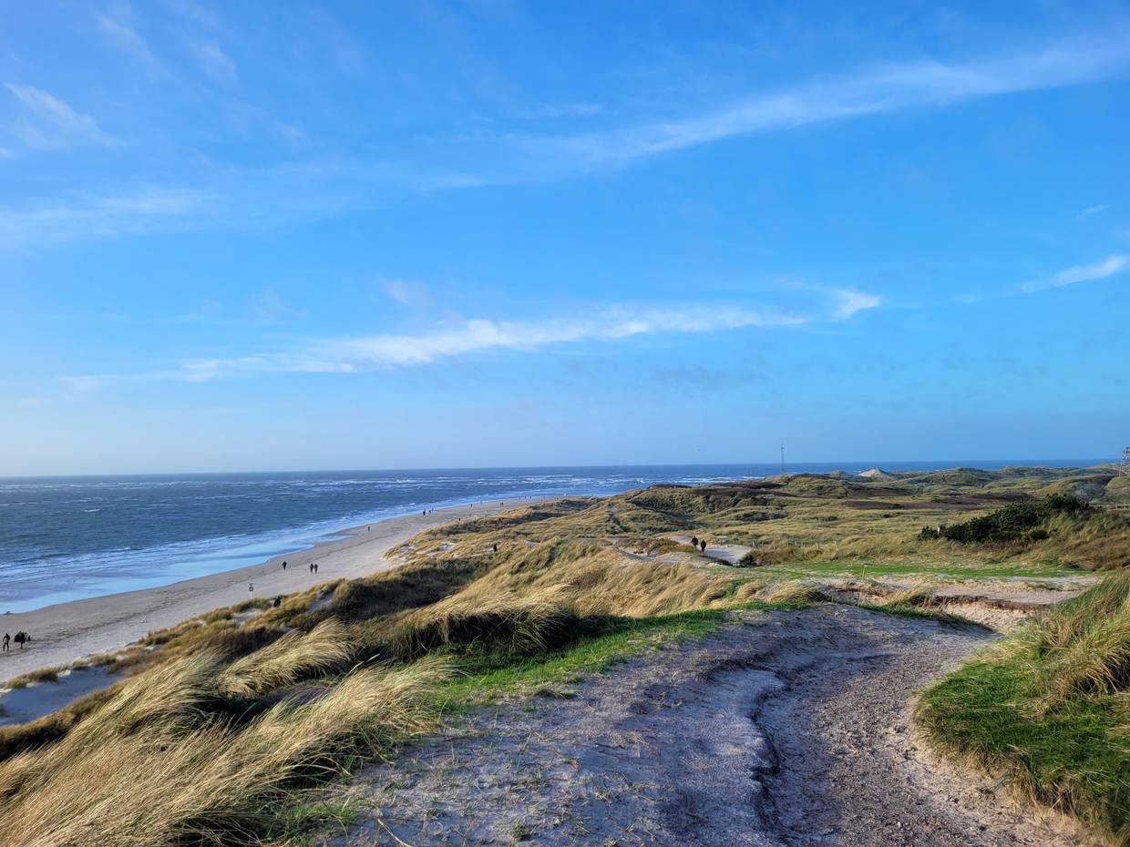 Aussicht über Dünenl und Strand an einer Landspitze an der Nordsee
