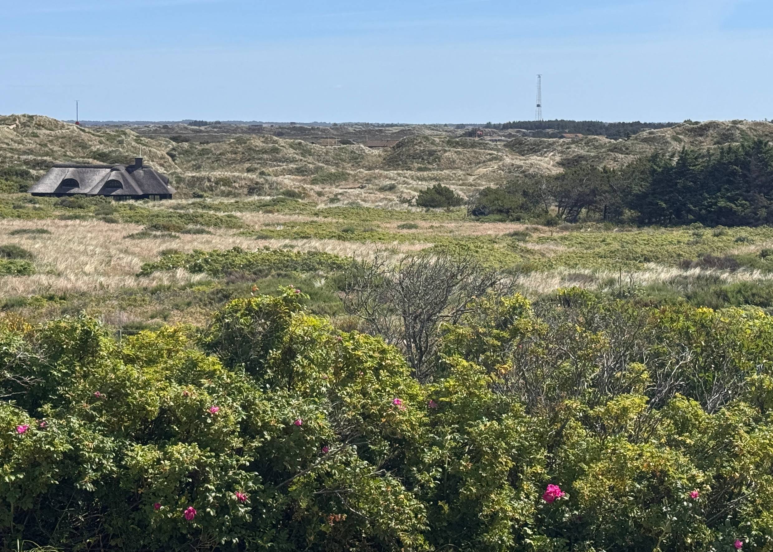 In den Dünen verstecktes Reetdachhaus 