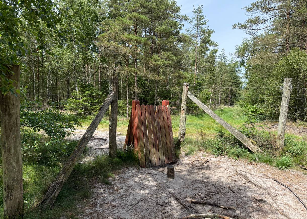 Rote Holzpforte an einem umzäunten Hundewald