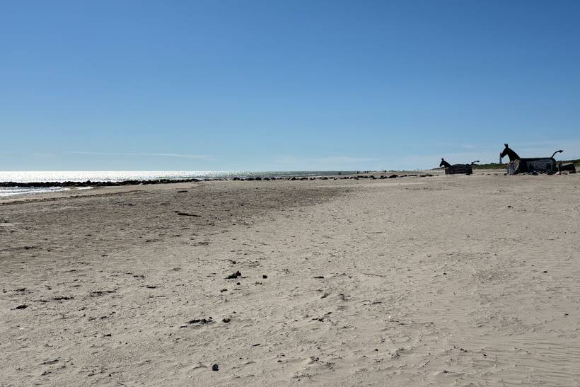 Foto von Blåvand Strand