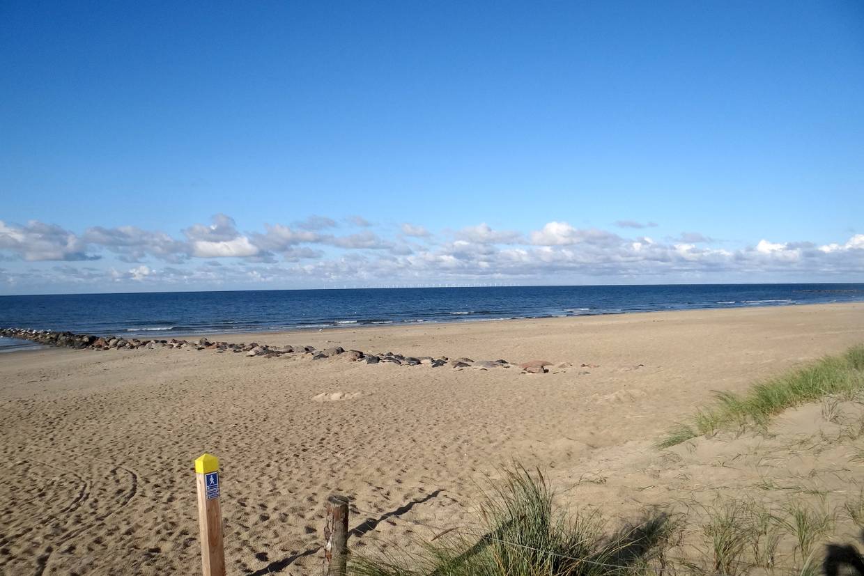 Foto von Blåvand Strand