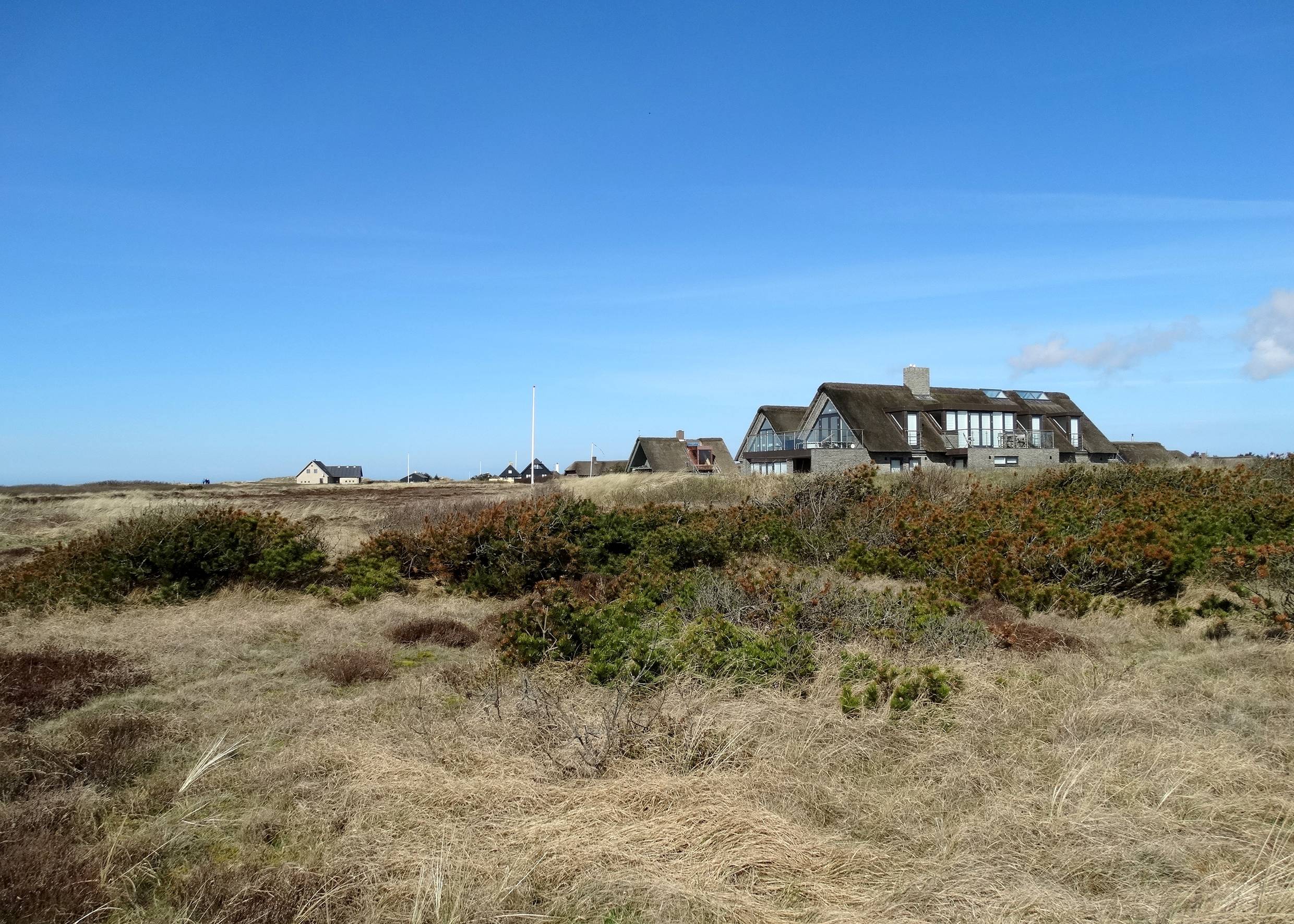 Reetdachhäuser mit Blick auf die Heide