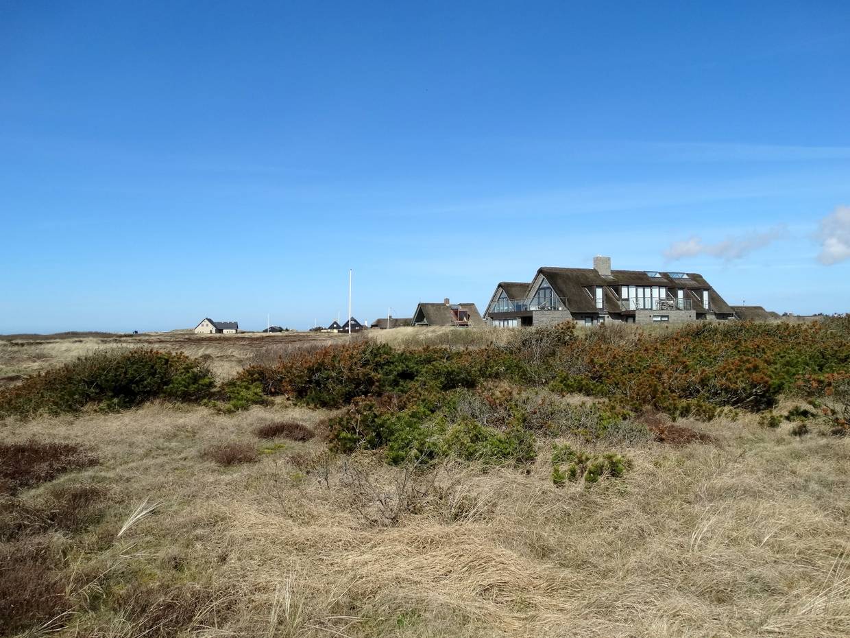 Reetdachhäuser mit Blick auf die Heide