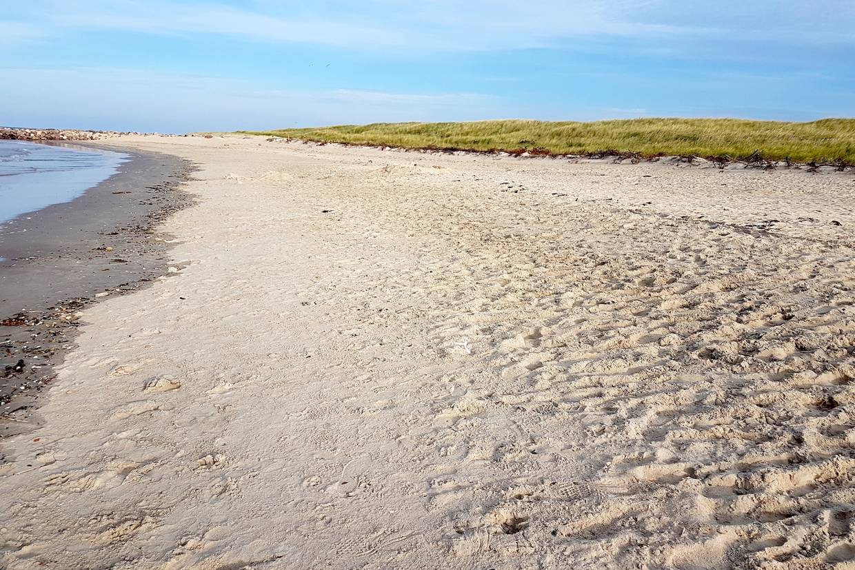 Foto von Strand am Grønningen