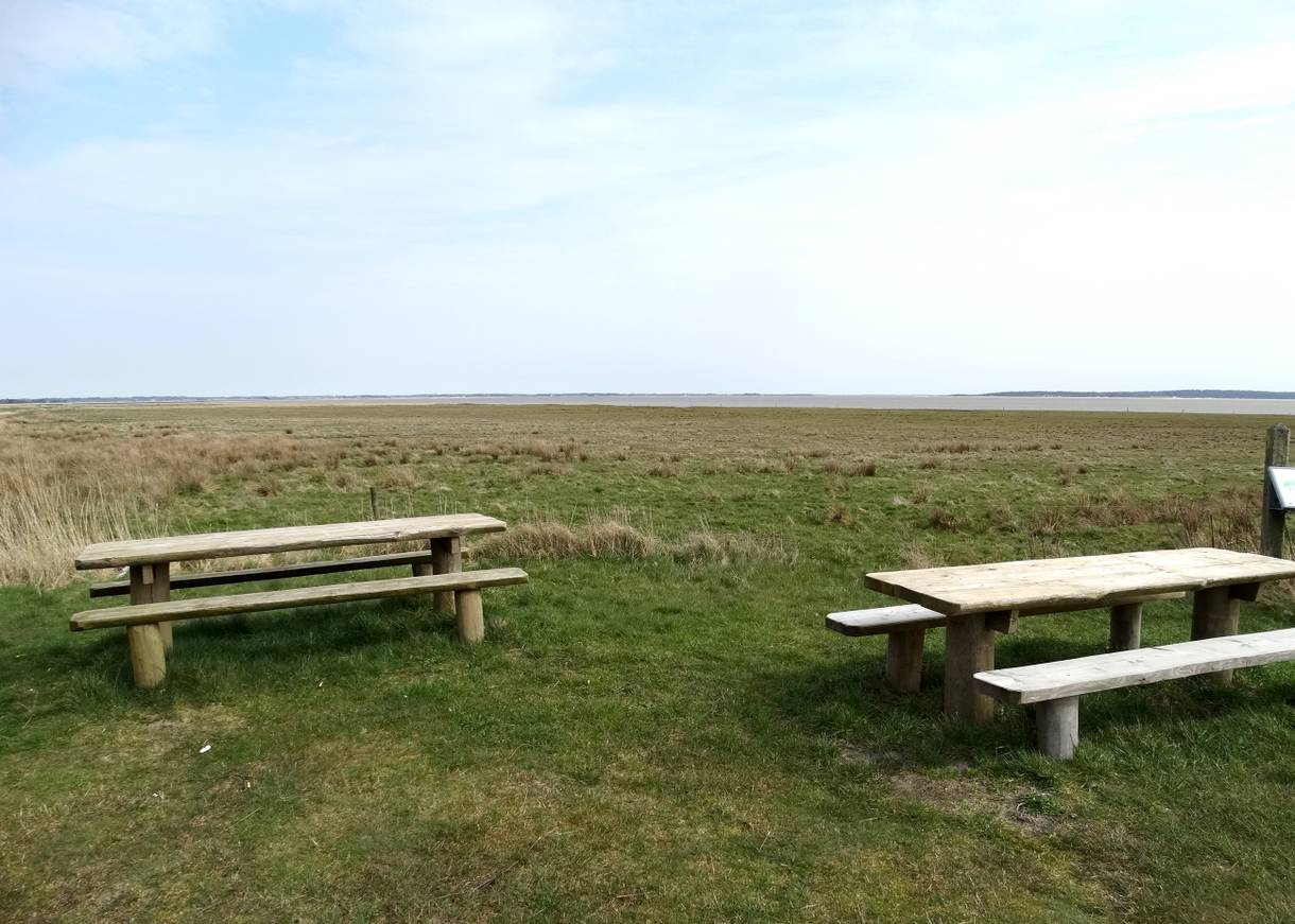 Picknickbänke am Ufer des Watts