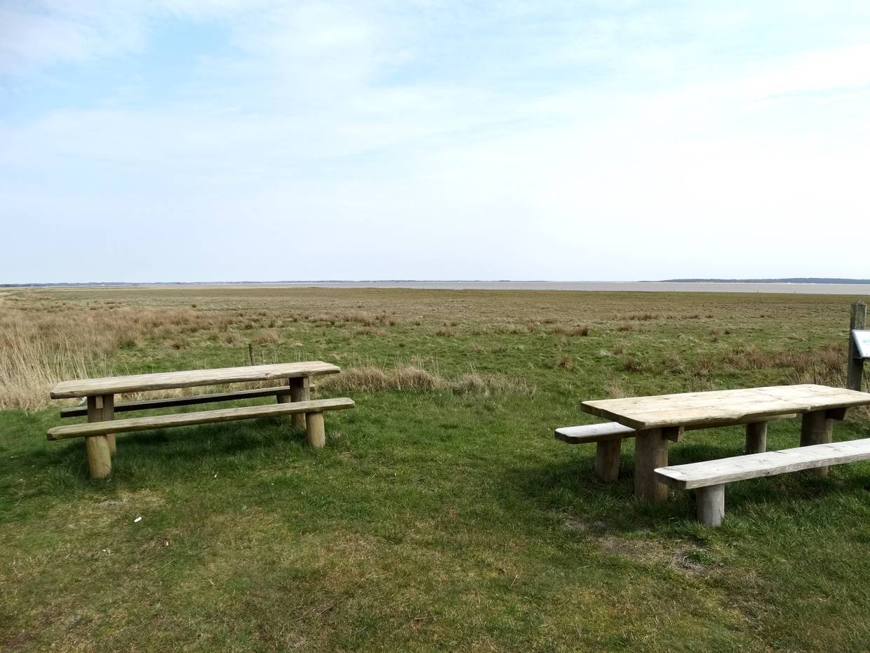 Picknickbänke am Ufer des Watts