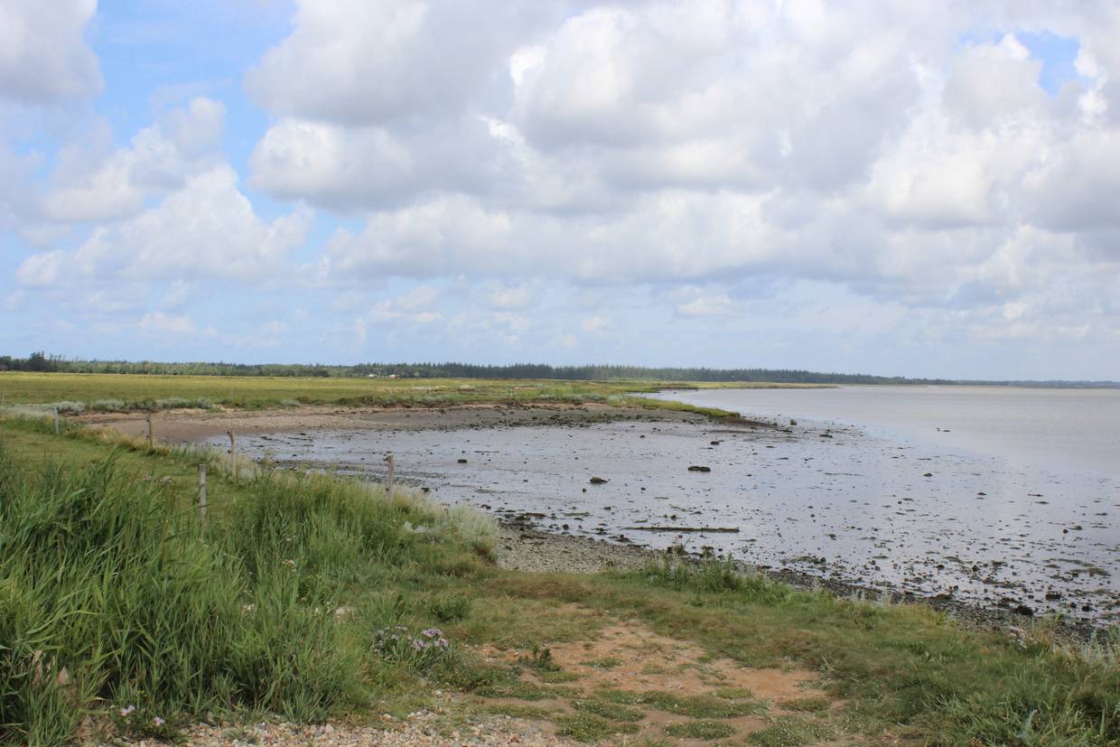 Foto von Mosevrå Strand