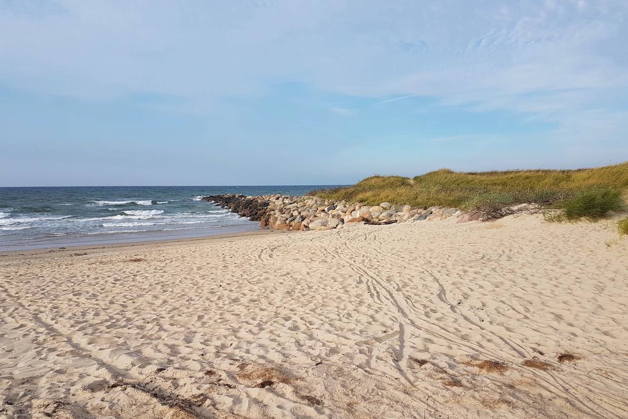 Foto von Strand am Grønningen