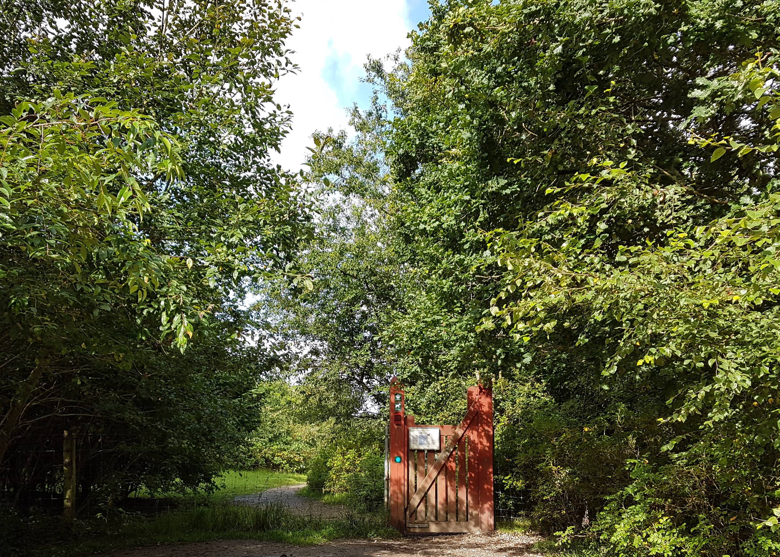 Rote Holzpforte vor einem Waldweg