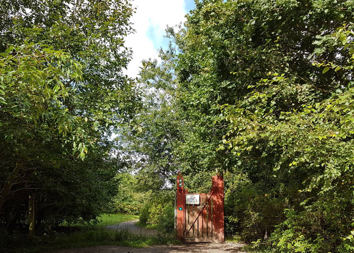 Rote Holzpforte vor einem Waldweg