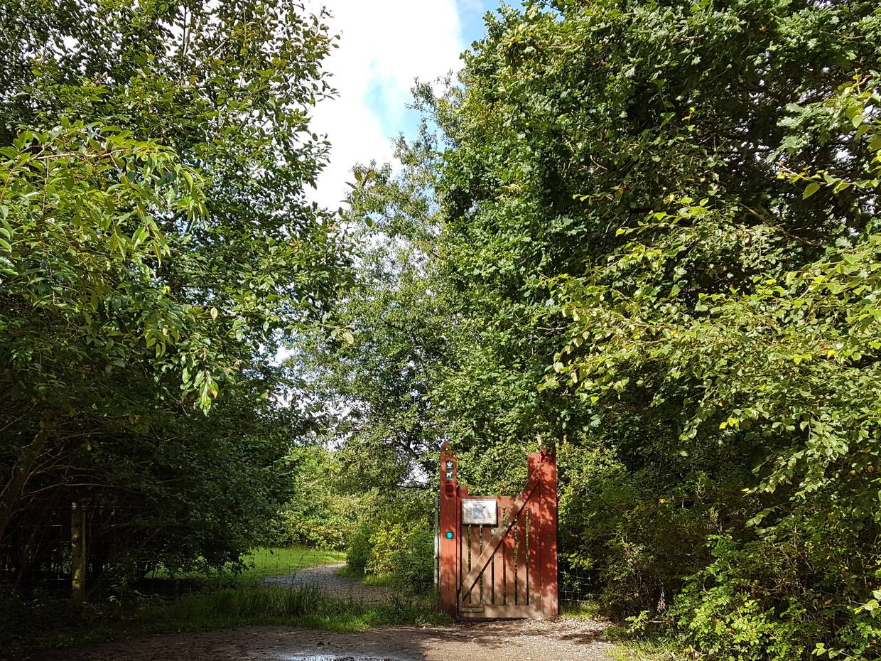 Rote Holzpforte vor einem Waldweg