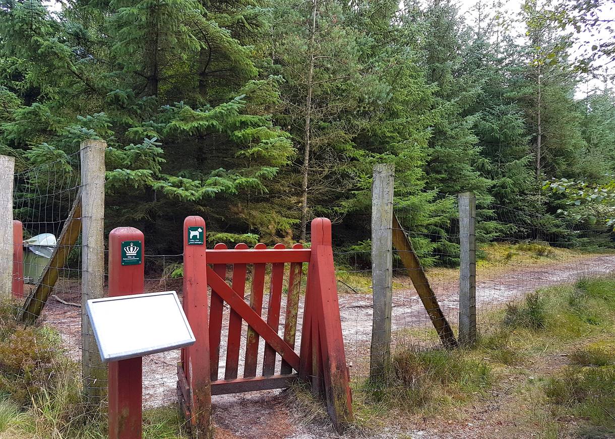 Rote Holzpforte an einem umzäunten Hundewald