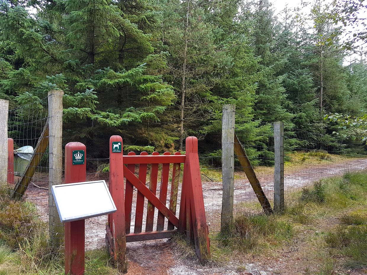 Rote Holzpforte an einem umzäunten Hundewald