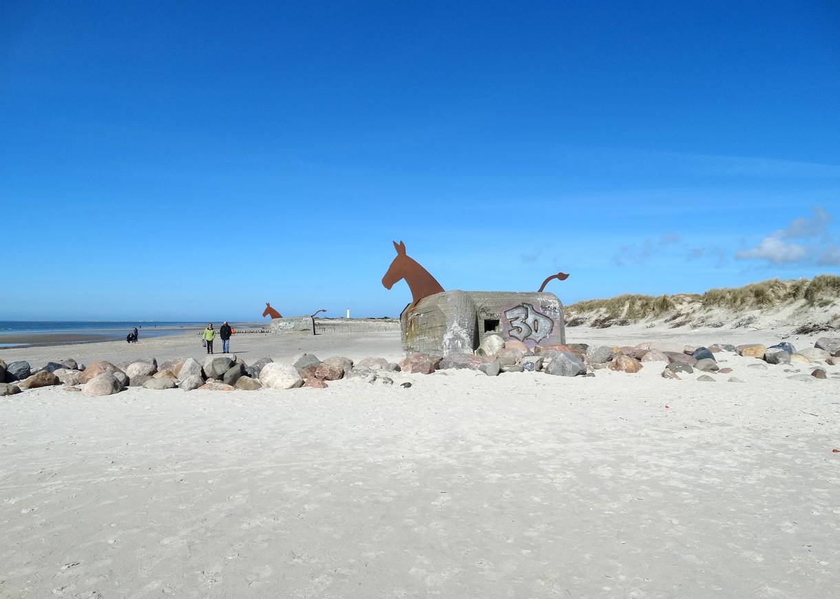 Strand mit Bunkern, auf die ein Maultierkopf geschweißt wurde