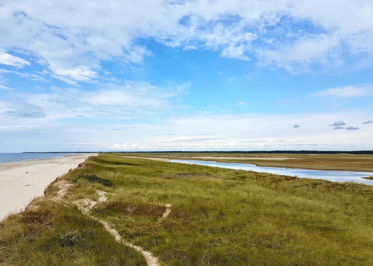 Strand und grünes, von Wasser durchzogenes Hinterland