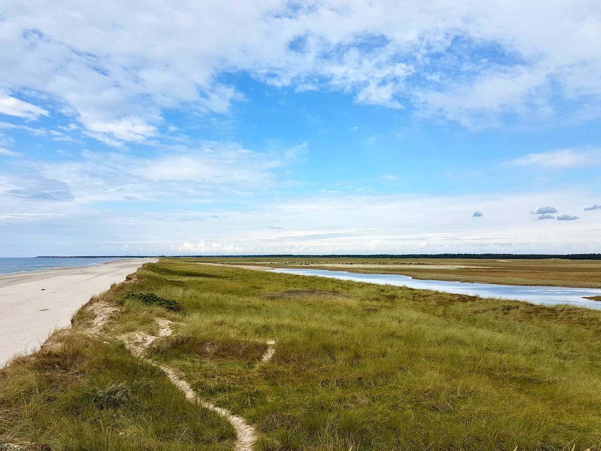 Strand und grünes, von Wasser durchzogenes Hinterland
