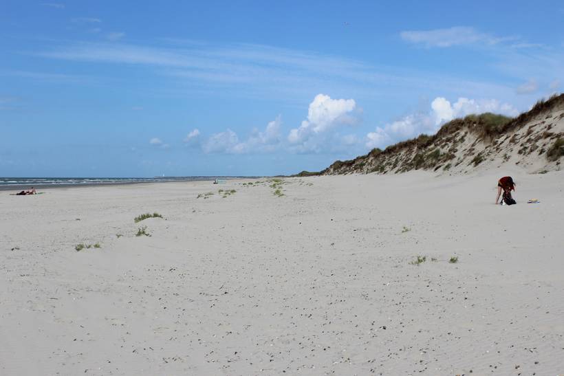 Foto von Skallingen Strand