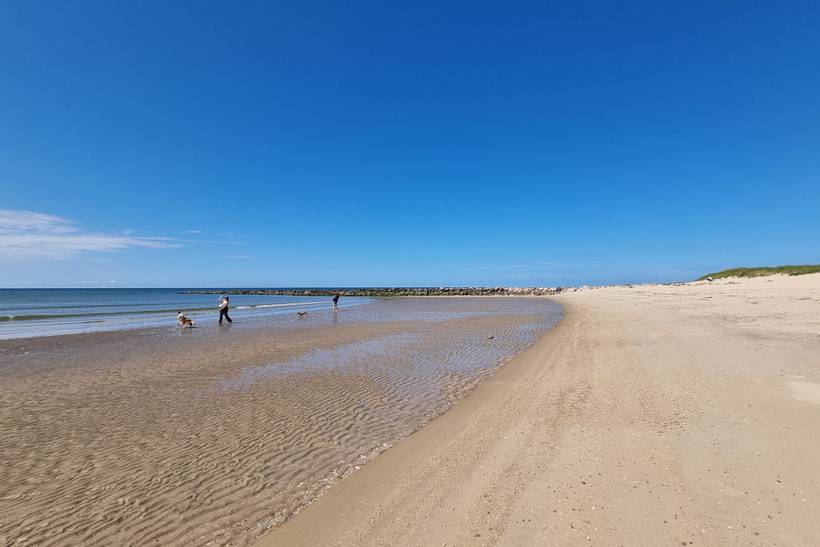 Foto von Strand am Grønningen