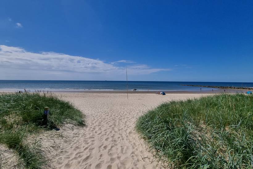 Foto von Strand am Grønningen