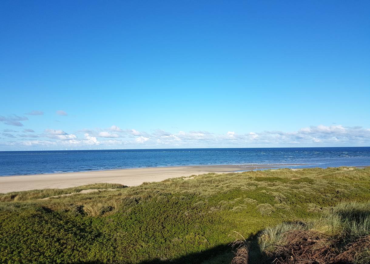 Aussicht auf das Meer über flache, grüne Dünen
