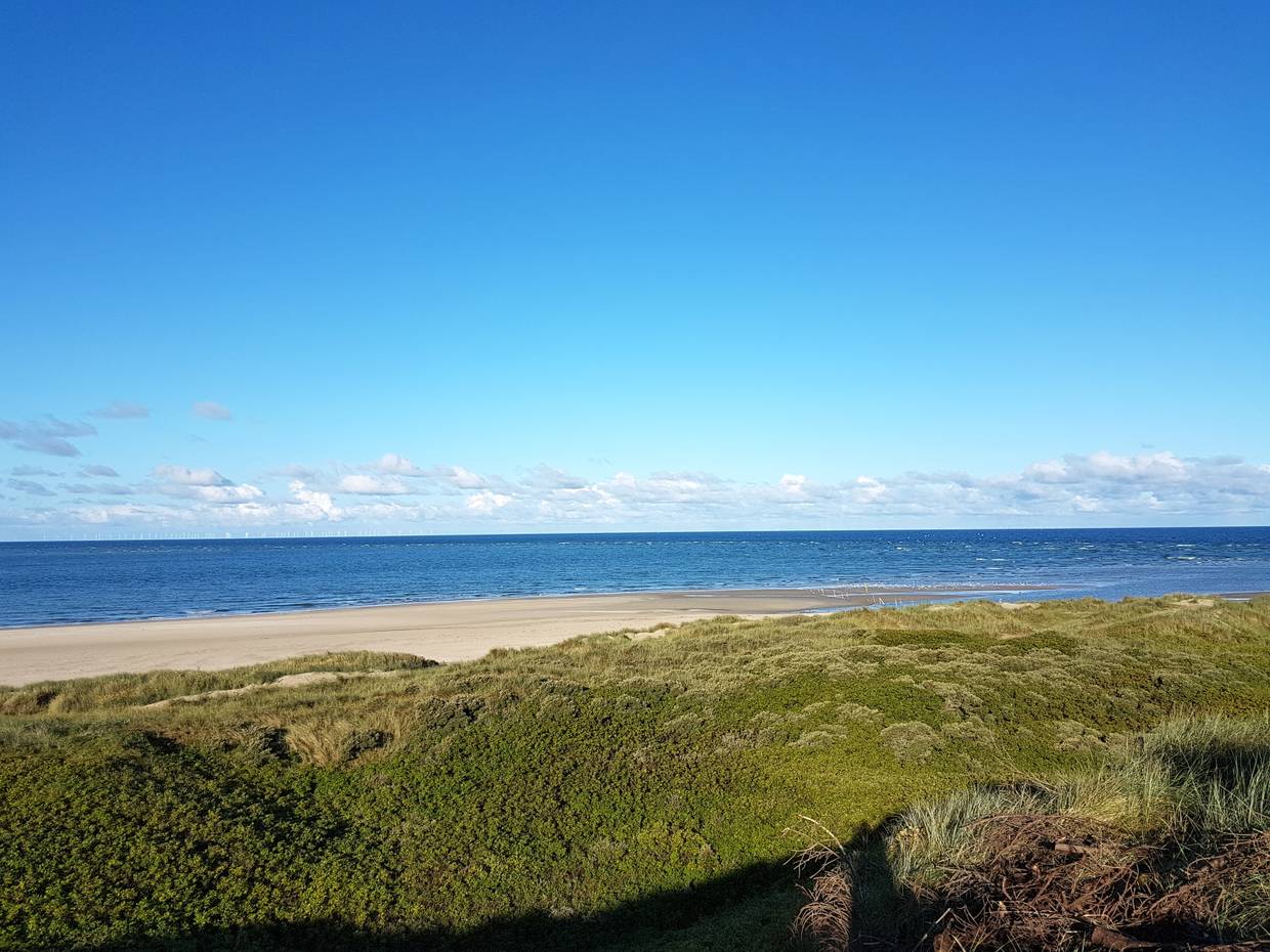 Aussicht auf das Meer über flache, grüne Dünen