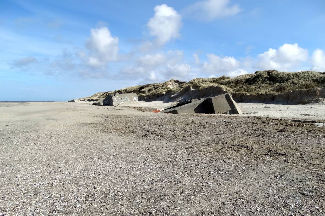 Foto von Blåvand Strand