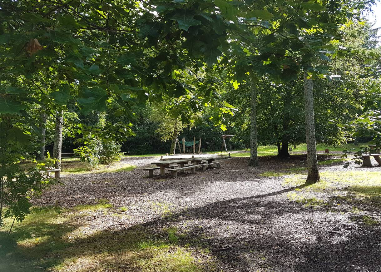 Klettergerüste im Wald