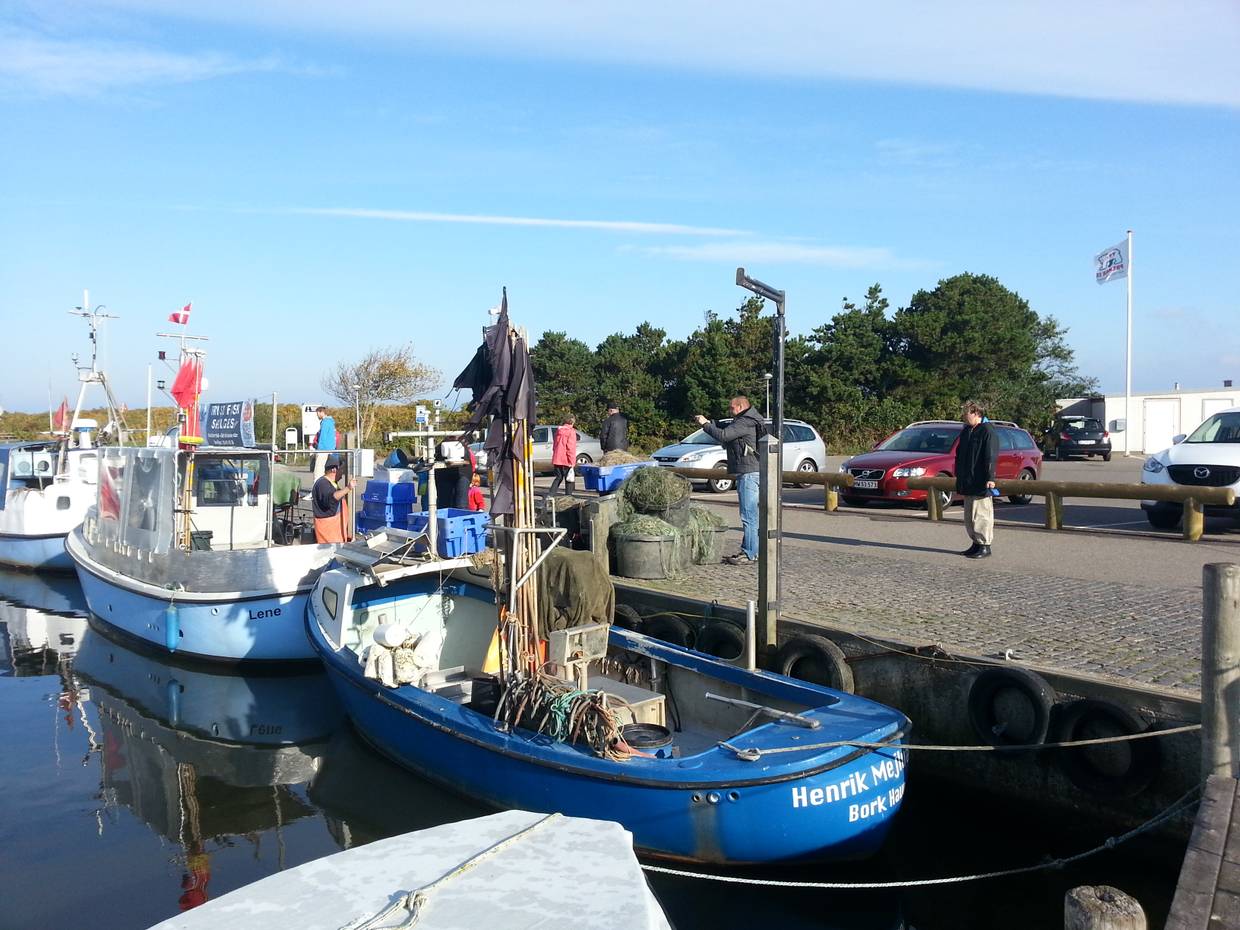 Fischkutter an der Mole