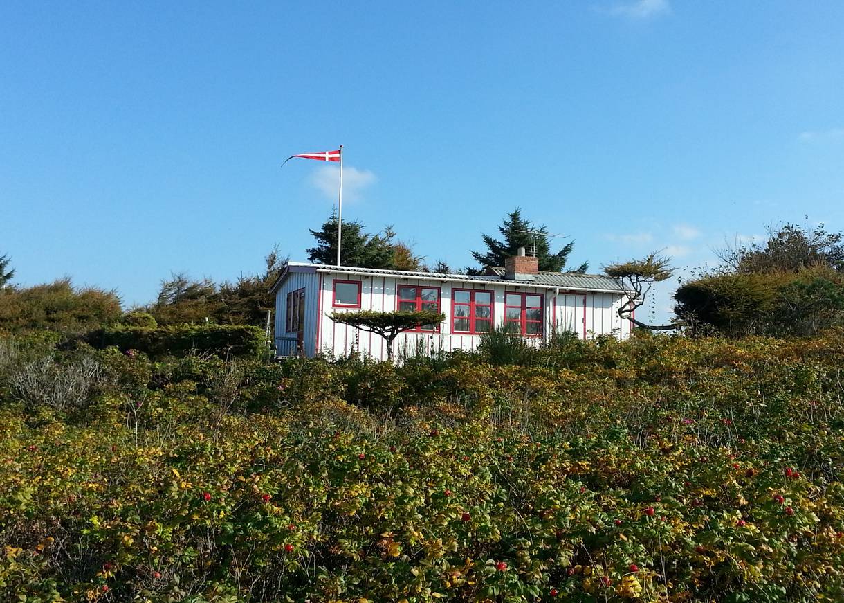 Weißes Holzhaus mit Fahnenmast hinter Heckenrosen