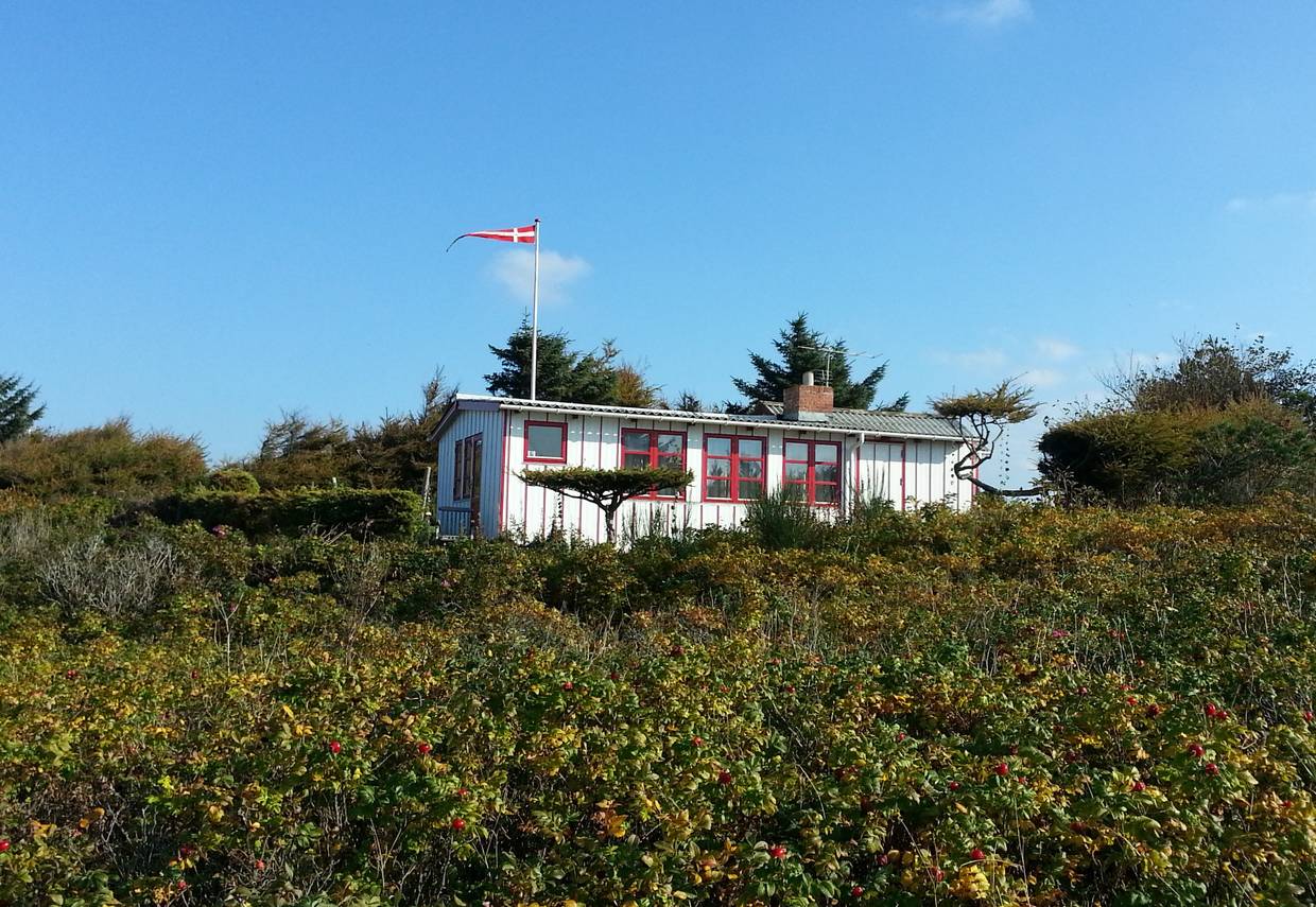 Weißes Holzhaus mit Fahnenmast hinter Heckenrosen