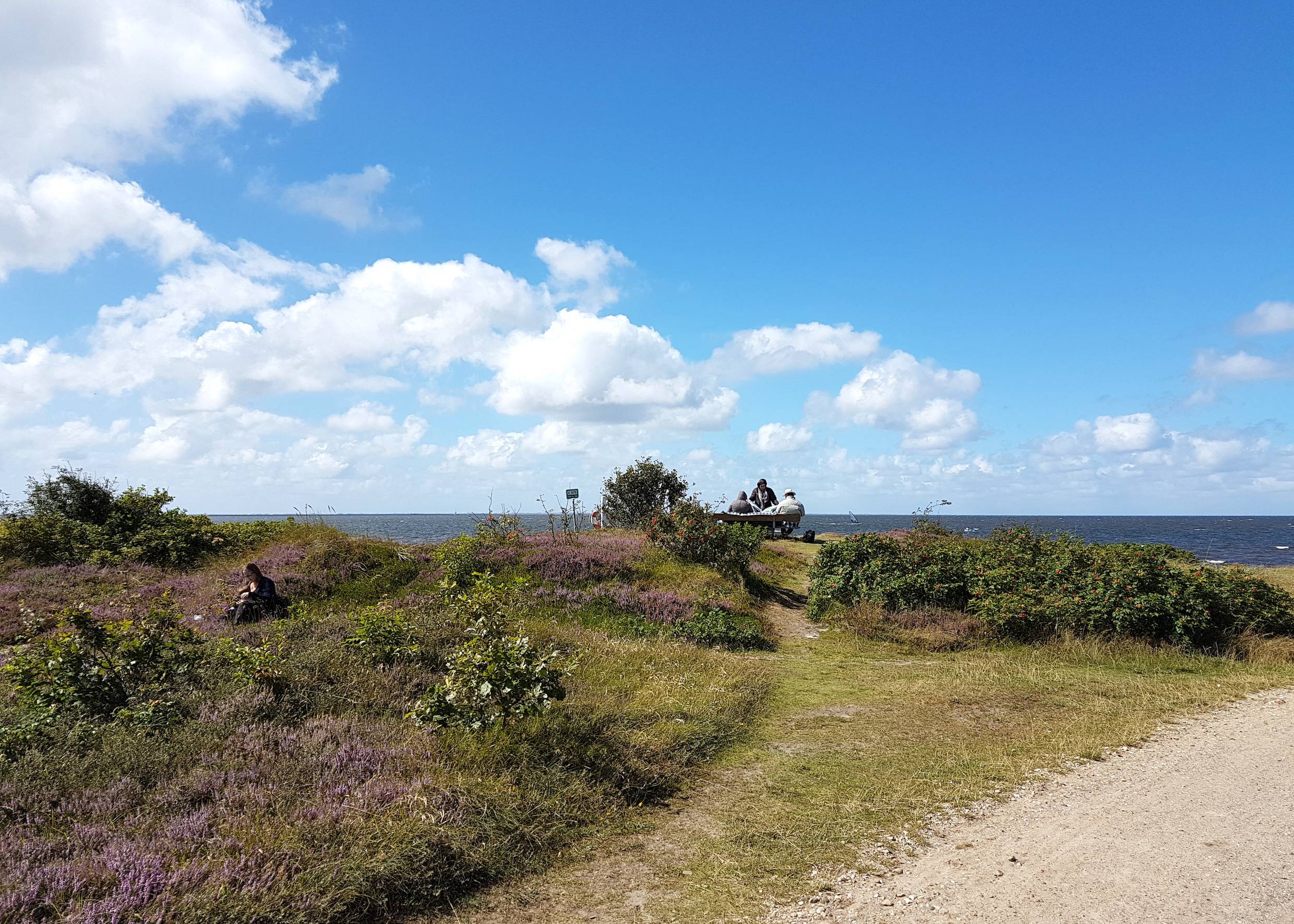 Picknickplatz in der Heide mit Fjordblick