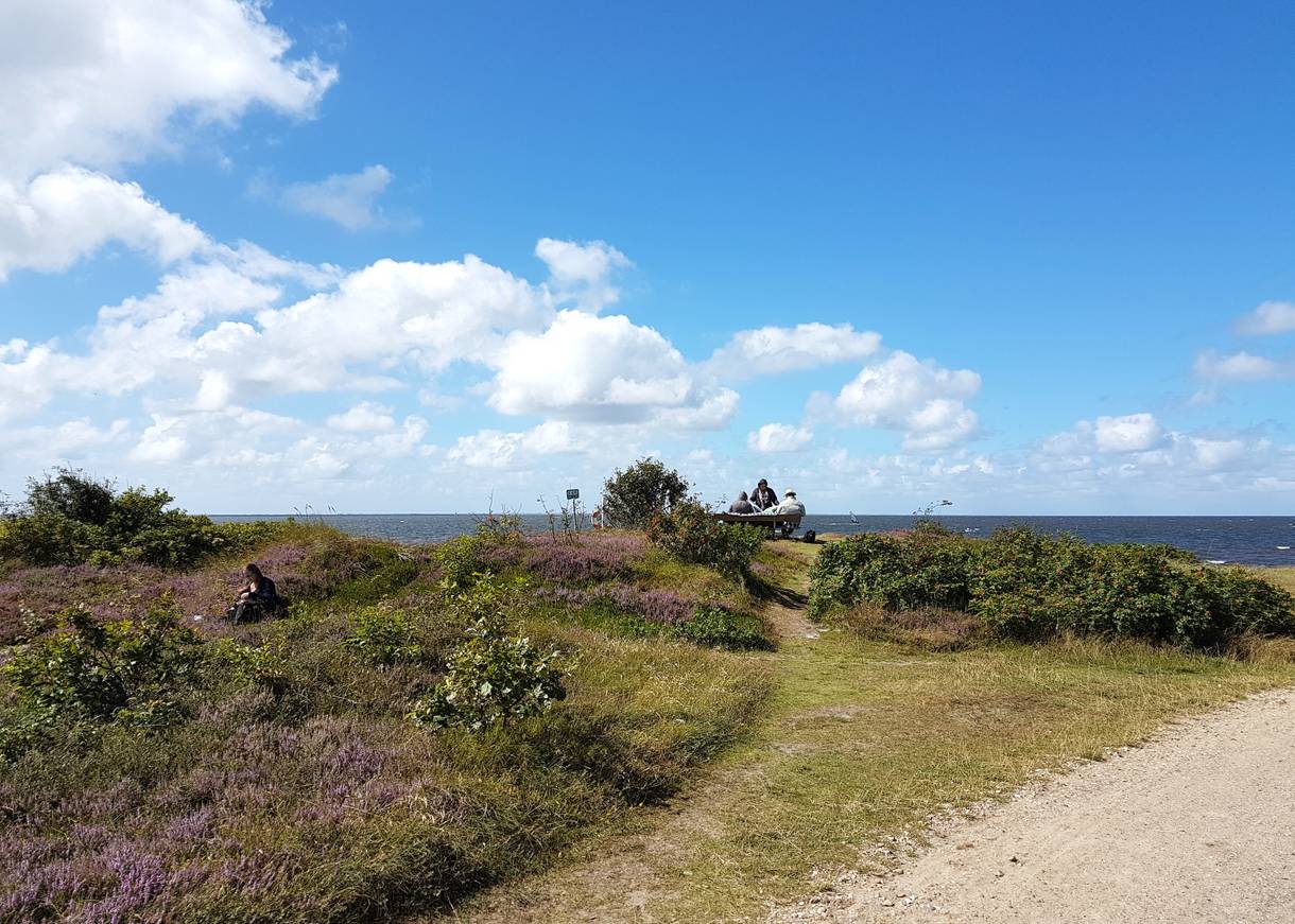 Picknickplatz in der Heide mit Fjordblick