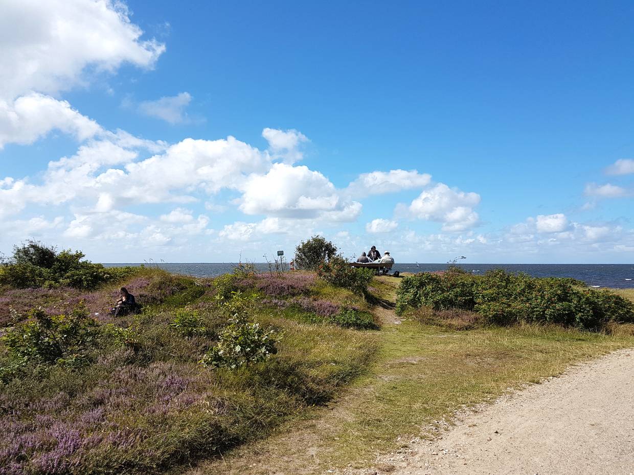 Picknickplatz in der Heide mit Fjordblick