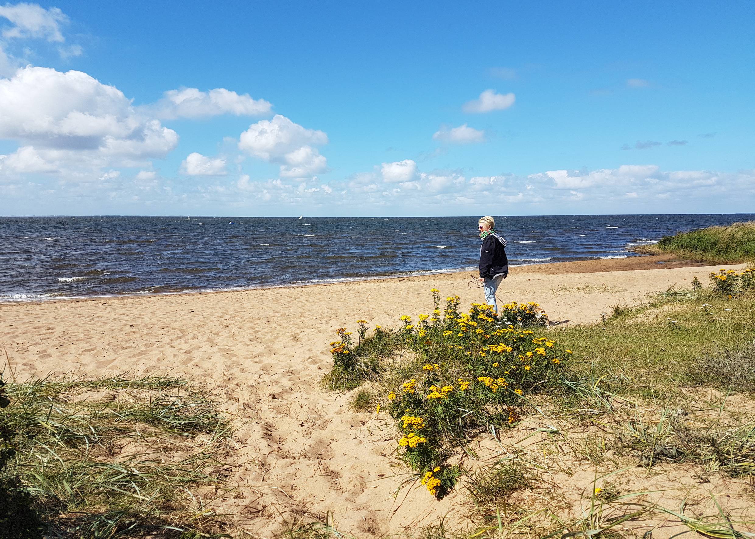 Spaziergängerin in einer Sandbuchten am Fjord