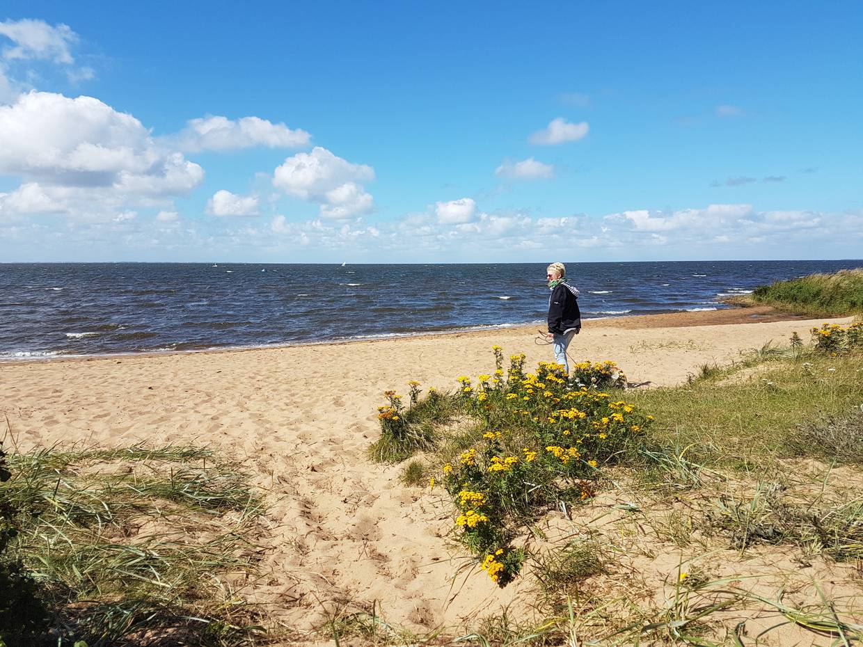 Spaziergängerin in einer Sandbuchten am Fjord