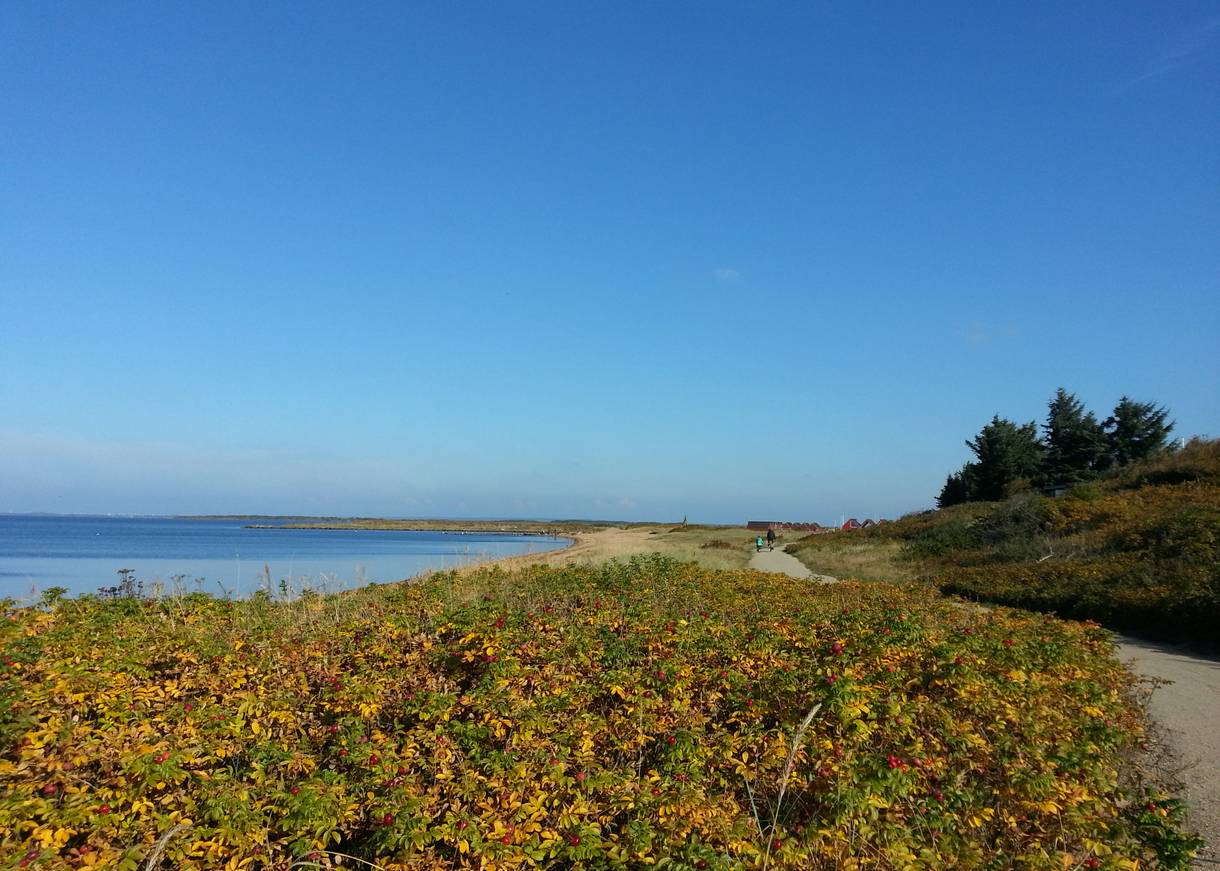 Radweg am Wasser bei Herbstsonne