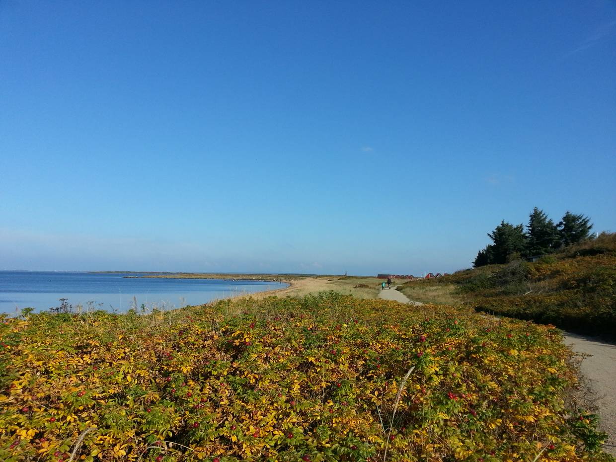 Radweg am Fjordufer im Herbst