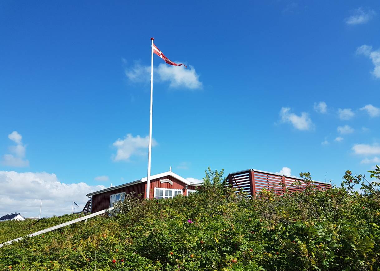 Ferienhaus in Dänemark auf einem bewachsenen Hügel, davor flattert ein Dannbrog