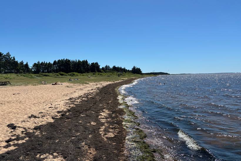 Foto von Skaven Strand
