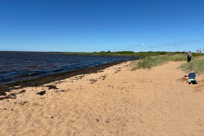 Vorschaubild von Skaven Strand