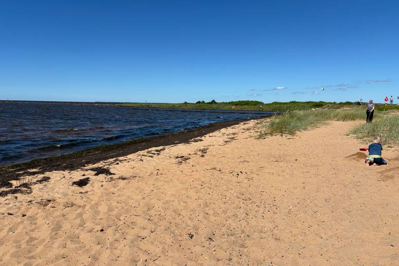 Foto von Skaven Strand